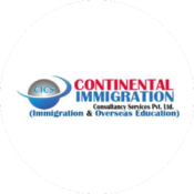 us immigration consultant